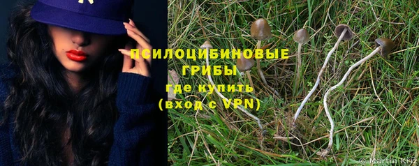 прущие грибы Майский