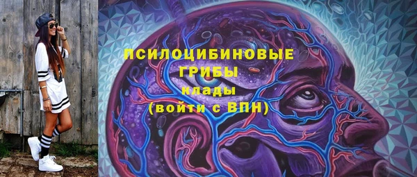 дживик Вязники