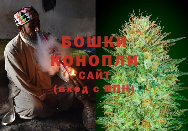 сатива Лихославль
