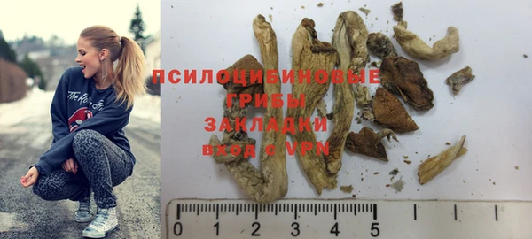 круглые Магас