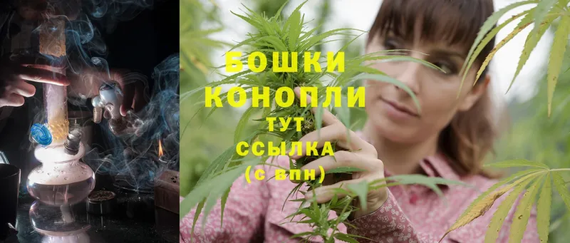 Канабис White Widow  Кириллов 